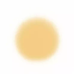 Temptu SilkSphere Airpod Foundation Face 31 Temptu SilkSphere Airpod Foundation Face