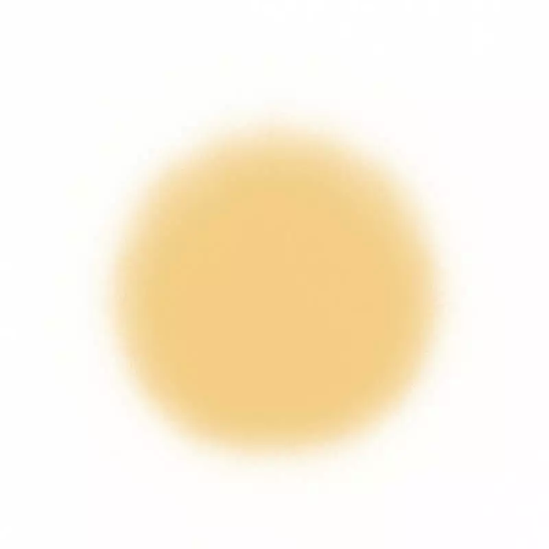 Temptu SilkSphere Airpod Foundation Face 12 Temptu SilkSphere Airpod Foundation Face