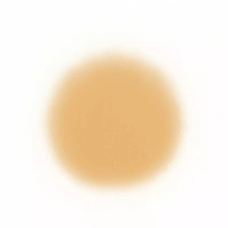 Temptu SilkSphere Airpod Foundation Face 13 Temptu SilkSphere Airpod Foundation Face