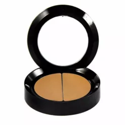 Face Atelier Camouflage Duet