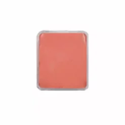 Ben Nye Lip Color Refill 31 Ben Nye Lip Color Refill