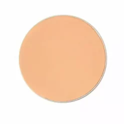 Ben Nye Neutralizer And Concealer Refill 15 Ben Nye Neutralizer And Concealer Refill