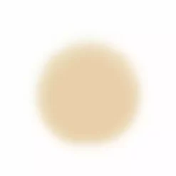 Face Temptu Perfect Canvas Hydra Lock Airpod Foundation