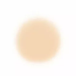 Face Temptu Perfect Canvas Hydra Lock Airpod Foundation