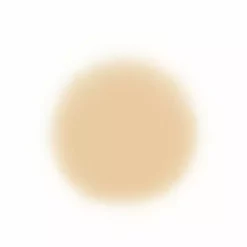 Face Temptu Perfect Canvas Hydra Lock Airpod Foundation