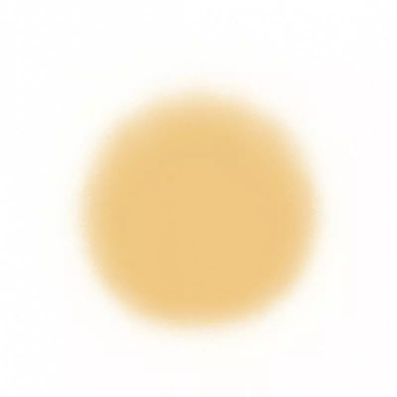 Temptu SilkSphere Airpod Foundation Face 14 Temptu SilkSphere Airpod Foundation Face