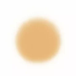 Face Temptu Perfect Canvas Hydra Lock Airpod Foundation