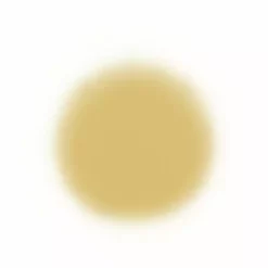 Face Temptu Perfect Canvas Hydra Lock Airpod Foundation