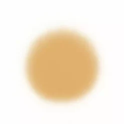 Face Temptu Perfect Canvas Hydra Lock Airpod Foundation