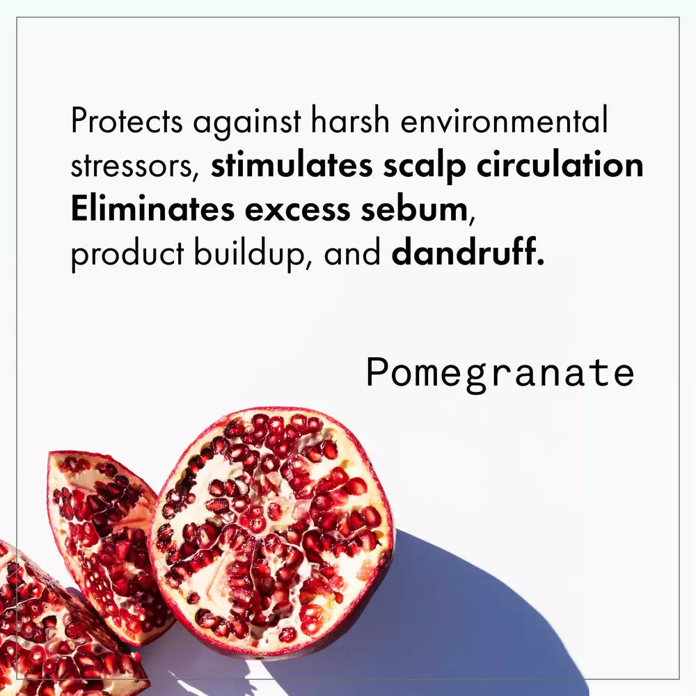 Fekkai Apple Cider Detox Detangling Rinse New 5 Fekkai Apple Cider Detox Detangling Rinse New