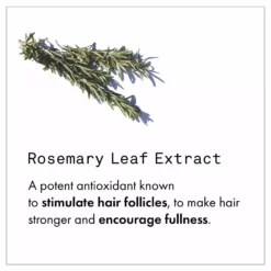 Fekkai Full Blown Volume Conditioner New 13 Fekkai Full Blown Volume Conditioner New