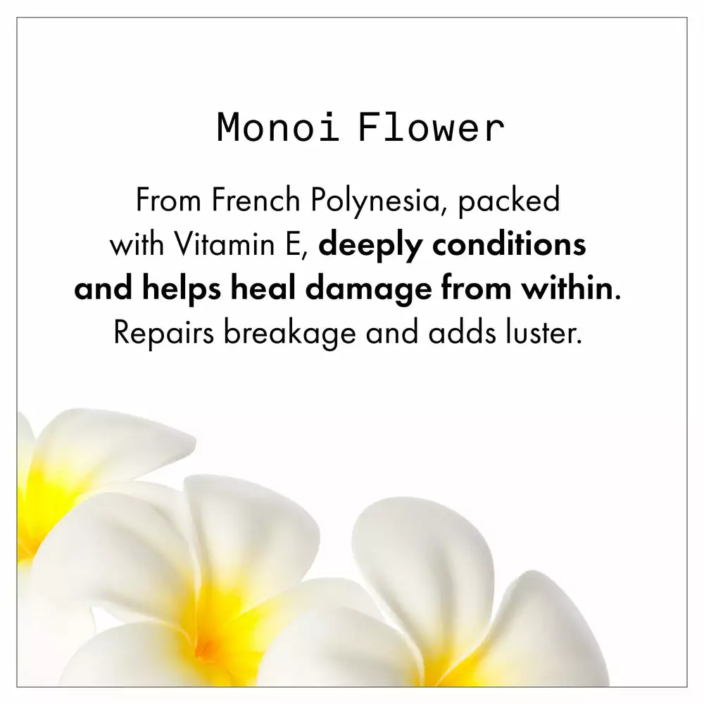 New Fekkai Shea Butter Curl Defining Gel Crème 3 New Fekkai Shea Butter Curl Defining Gel Crème