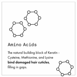 Fekkai Full Blown Volume Conditioner New 16 Fekkai Full Blown Volume Conditioner New