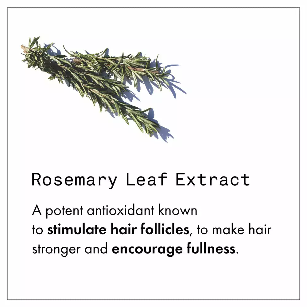 Fekkai Full Blown Volume Shampoo 5 Fekkai Full Blown Volume Shampoo