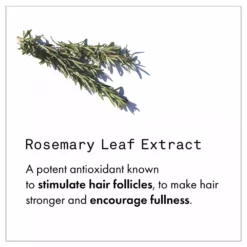 Fekkai Full Blown Volume Dry Texturizing Spray New 12 Fekkai Full Blown Volume Dry Texturizing Spray New