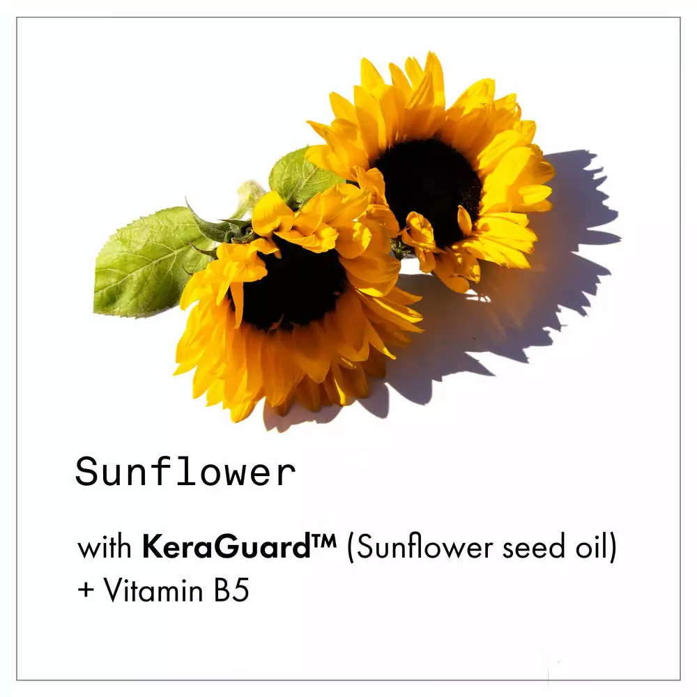 New Fekkai Technician Color Shampoo 5 New Fekkai Technician Color Shampoo