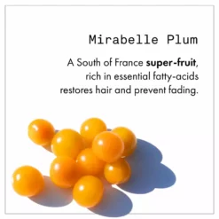 New Fekkai Technician Color Shampoo 10 New Fekkai Technician Color Shampoo