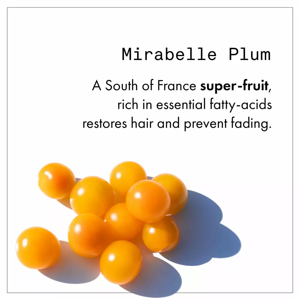 New Fekkai Technician Color Shampoo 4 New Fekkai Technician Color Shampoo