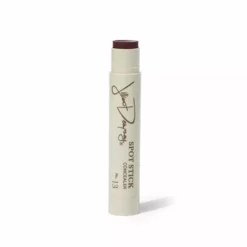 Jillian Dempsey Spot Stick Concealer New