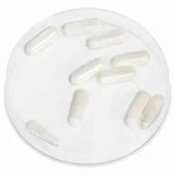 Kryolan Foam Capsules (04047) Kryolan Professional Make-Up