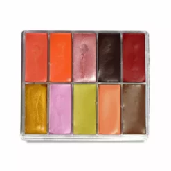 MAQ Pro MAQpro Corrector/Lip/Cheek Petite Palette AI1 (15 Ml.) Blush