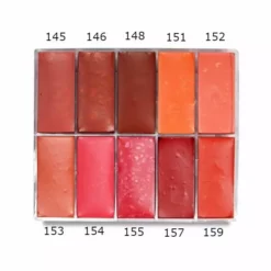 MAQ Pro Blush Maqpro Lip And Rouge Palette PP18