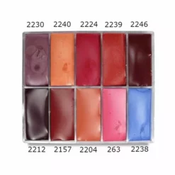MAQ Pro Maqpro Lipstick Palette R23 (0.5oz./15ml. Slim)
