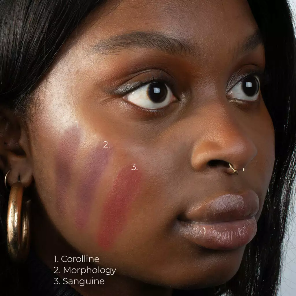 Lethal Cosmetics MAGNETIC™ Face Powder - Blush 10 Lethal Cosmetics MAGNETIC™ Face Powder - Blush