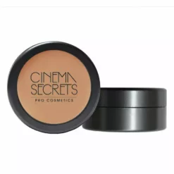 Face Cinema Secrets Ultimate Foundation 300 Series