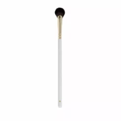 Jillian Dempsey Mini Fan Brush