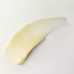 Kiehl's Since 1851 Buttermask For Lips Lip Treatment