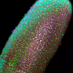 Karla Cosmetics Opal Multichrome Loose Eyeshadow New 68 Karla Cosmetics Opal Multichrome Loose Eyeshadow New