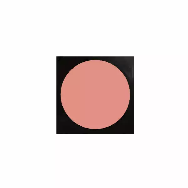 RCMA VK Pro Palette Replaceable Godets 56 RCMA VK Pro Palette Replaceable Godets