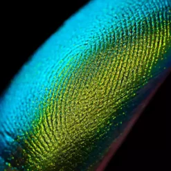 Karla Cosmetics Pressed Eyeshadow New 28 Karla Cosmetics Pressed Eyeshadow New