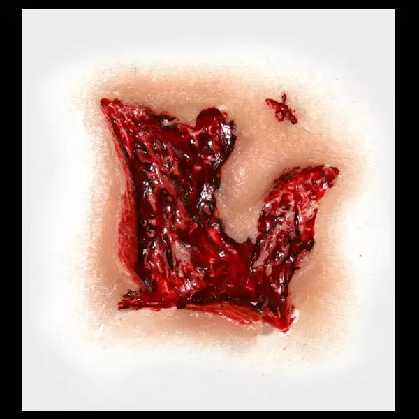 Tinsley Transfers Small Gouge - 3D FX Transfer Special FX 2 Tinsley Transfers Small Gouge - 3D FX Transfer Special FX